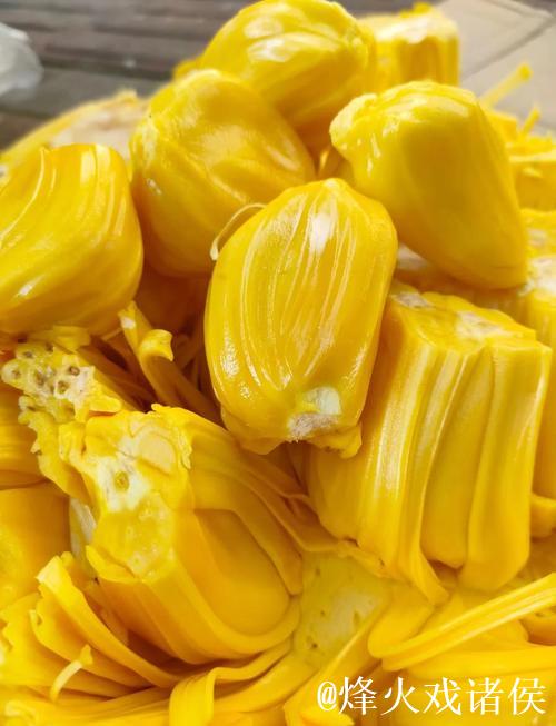 菠萝蜜视频在线免费观看