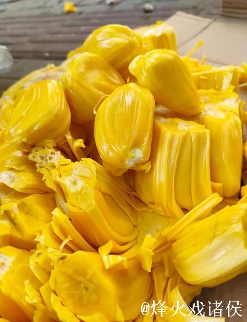 菠萝蜜视频在线免费观看