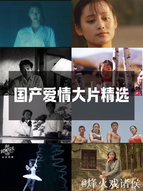 经典国产精品一二三四电影推荐