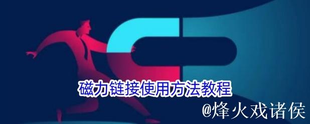 全面解析迅雷磁力链接搜索技巧